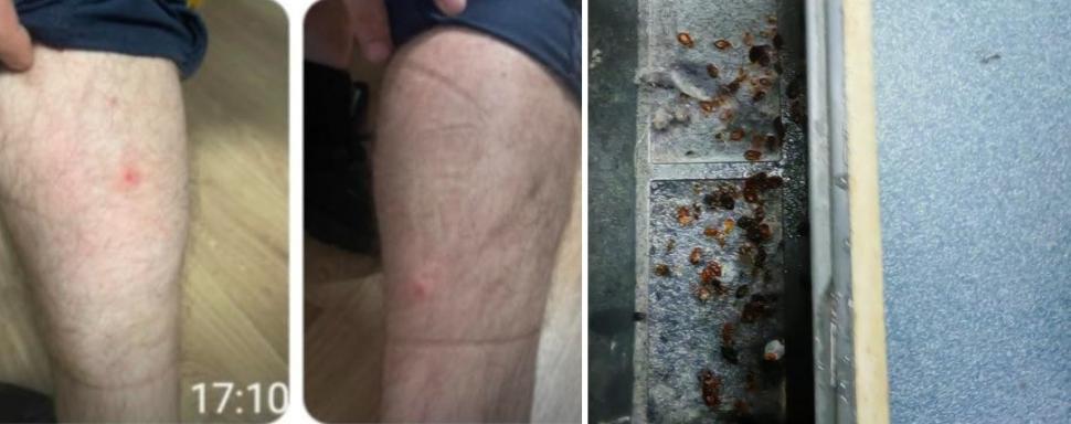 Mai mulţi agenţi au fost muşcaţi de ploşniţe în sediile Poliţiei Capitalei. 10 persoane au ajuns la spital 1004206