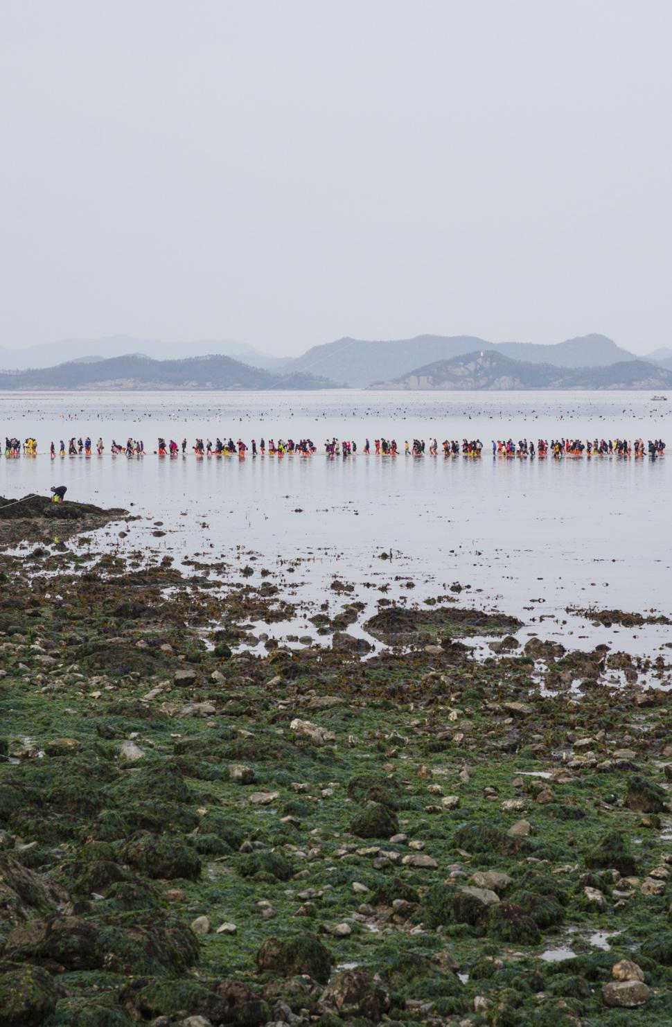 Marea misterioasă din Coreea de Sud care se desparte de două ori pe an, timp de o oră 1004051