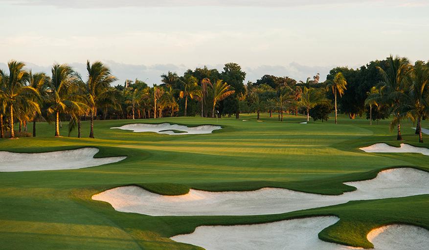 Cum arată proprietatea de lux a lui Trump unde va avea loc Summitul G20. El spune că își dorește „mult” ca Putin şi Xi să vină acolo 1005152