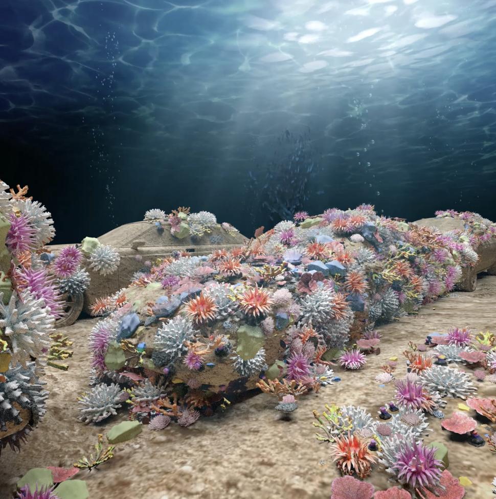 Zeci de mașini din beton vor fi puse pe fundul oceanului pentru a se transforma în recife de corali. Cum arată instalația unică în lume 1003273