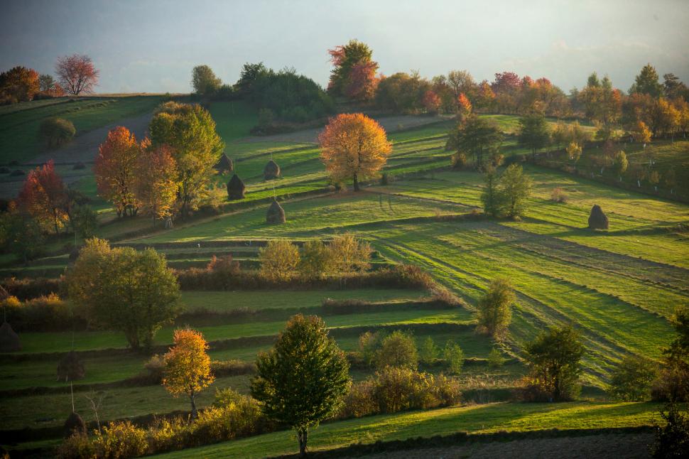 Destinaţiile de vacanţă preferate de turiști în Maramureș vara aceasta: Satul Breb, Mocăniţa, bisericuţele de lemn şi locurile inedite 1003626