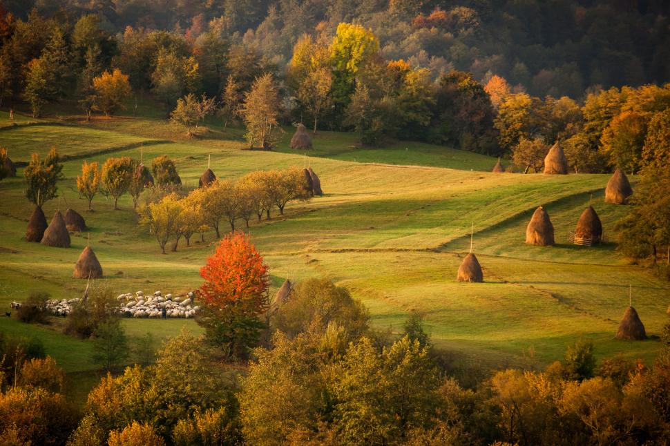 Destinaţiile de vacanţă preferate de turiști în Maramureș vara aceasta: Satul Breb, Mocăniţa, bisericuţele de lemn şi locurile inedite 1003629