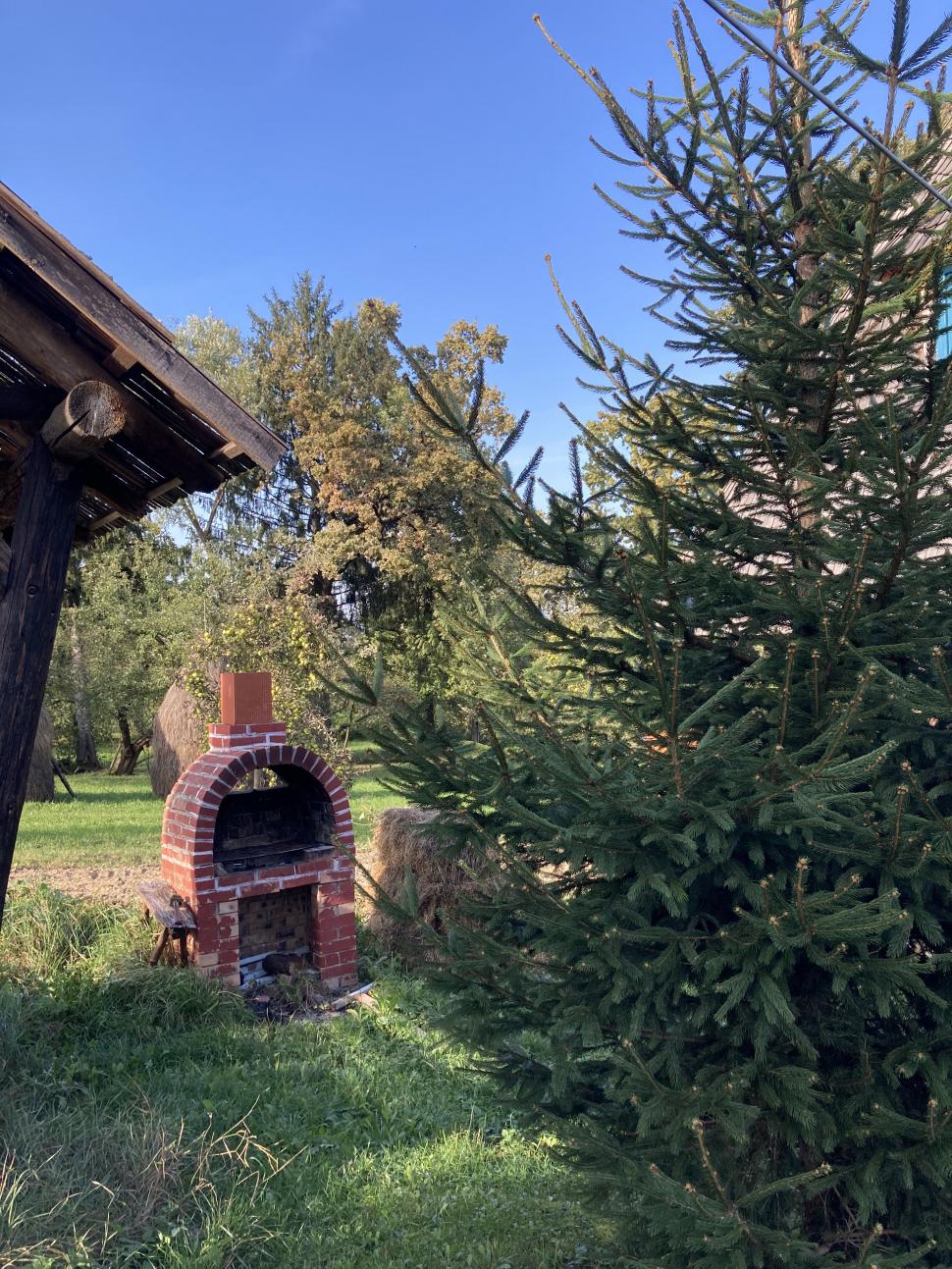 Destinaţiile de vacanţă preferate de turiști în Maramureș vara aceasta: Satul Breb, Mocăniţa, bisericuţele de lemn şi locurile inedite 1003642