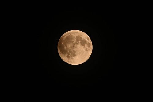 Luna sângerie s-a arătat lumii duminică seară. Fenomenul a fost vizibil și din România. Ce semnificație are 1005363