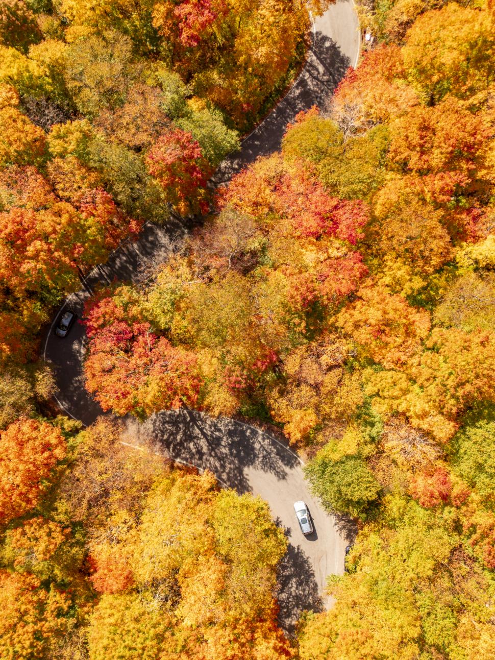 Un sat idilic, care se colorează în roșu și portocaliu, se baricadează și blochează drumurile. De ce s-au revoltat cei 900 de localnici 1004373