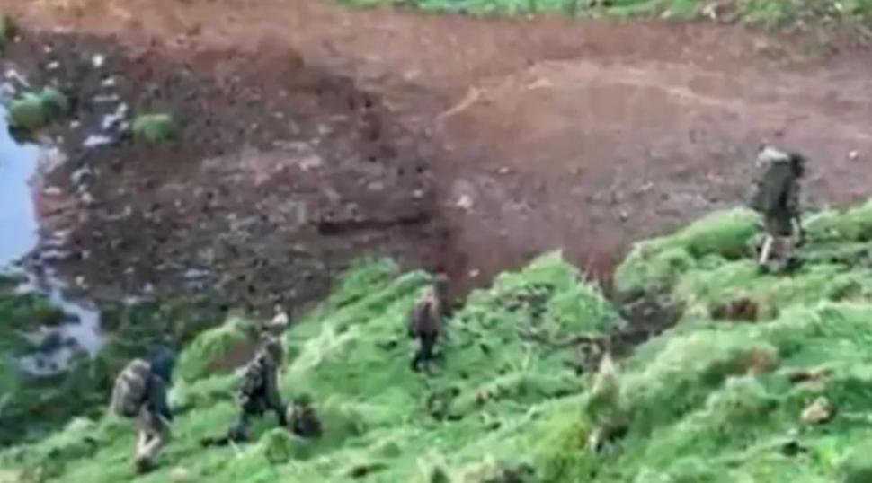 Copiii care trăiau în sălbăticie de aproape 4 ani au fost găsiți. Cum a fost rezolvat cazul care a ținut o țară întreagă în tensiune 1005468