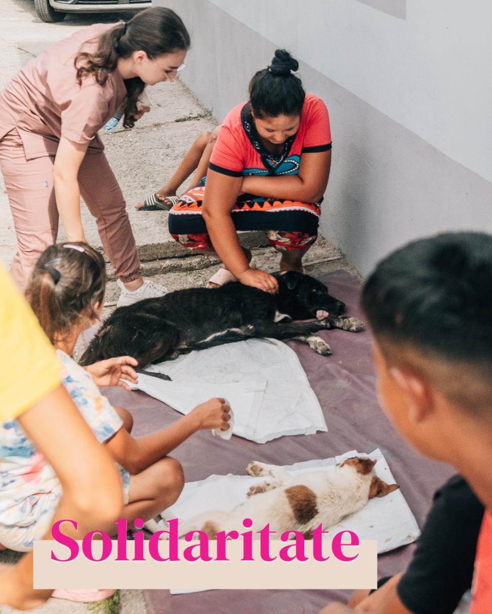 O nouă etapă pentru Fundația Dana Voiculescu: rebranding pentru transparență și conexiune 1004812