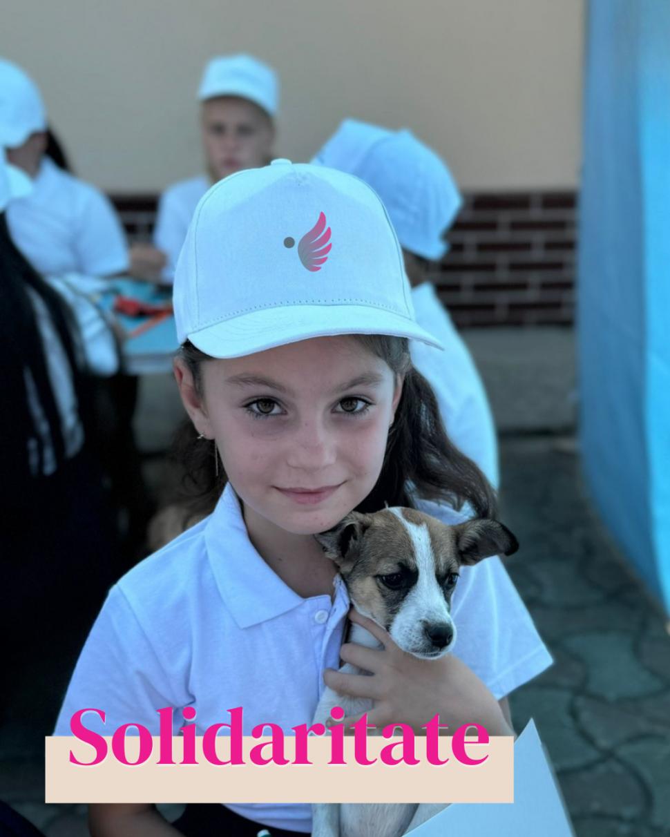 O nouă etapă pentru Fundația Dana Voiculescu: rebranding pentru transparență și conexiune 1004814