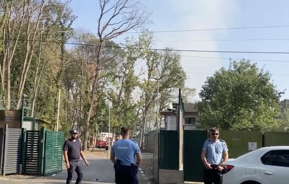 Incendiu în Grădina Zoologică București. ISUBIF: Focul e extins pe 2.000 de metri pătraţi și arde cu degajări mari de fum 1005945