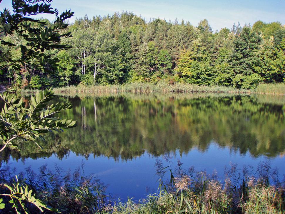 Lacul Meledic din România, comoară geologică unică în Europa, în pericol din cauza secetei: Revolta primarilor oprește captarea apei 1005846