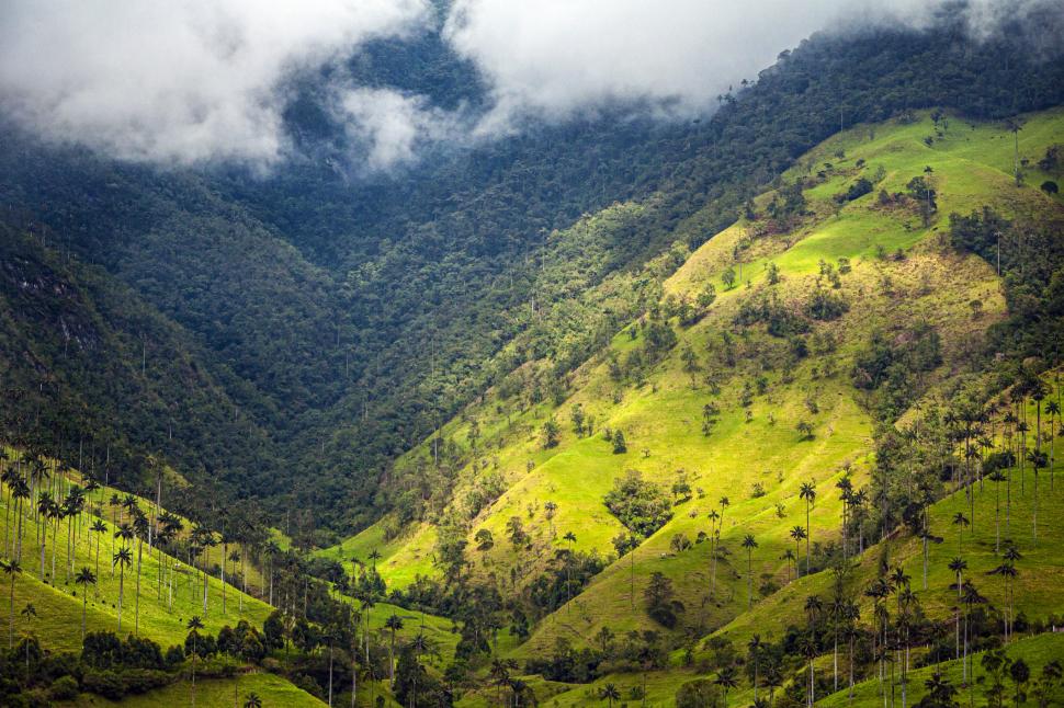 A fost stabilit cel mai bun loc din lume în care să trăiești și să lucrezi. Ce au descoperit aici oamenii plus un clasament interesant 1006507
