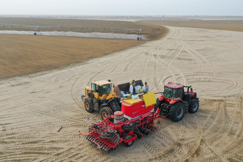Recoltele de toamnă din China, văzute de sus. Imagini spectaculoase din dronă cu peisaje agricole colorate 1006671