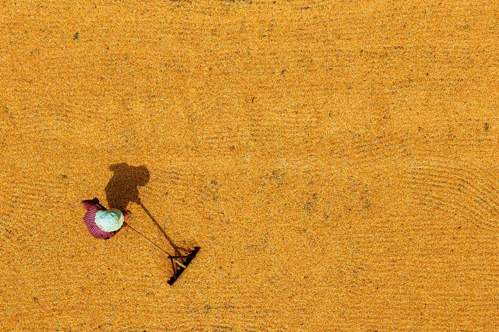 Recoltele de toamnă din China, văzute de sus. Imagini spectaculoase din dronă cu peisaje agricole colorate 1006678