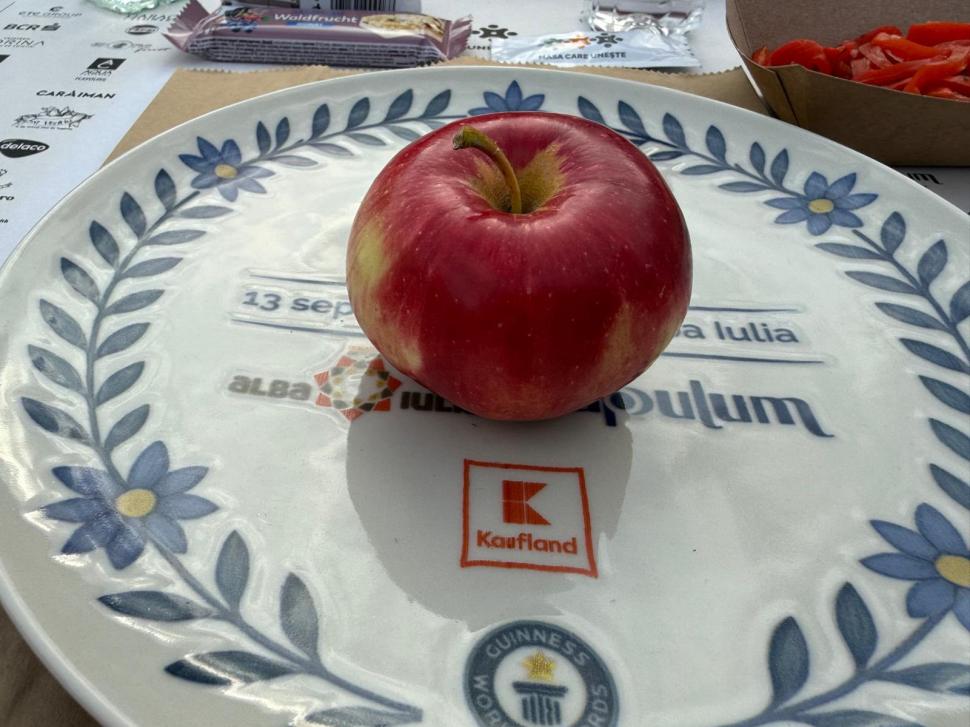 Alba Iulia a intrat pentru a treia oară în Cartea Recordurilor: Cea mai lungă masă din materiale reciclabile din lume, în imagini 1007055