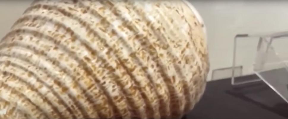 Vechi de 3.800 de ani, oraşul descoperit recent într-un deşert din Peru rescrie istoria Americilor 1006811