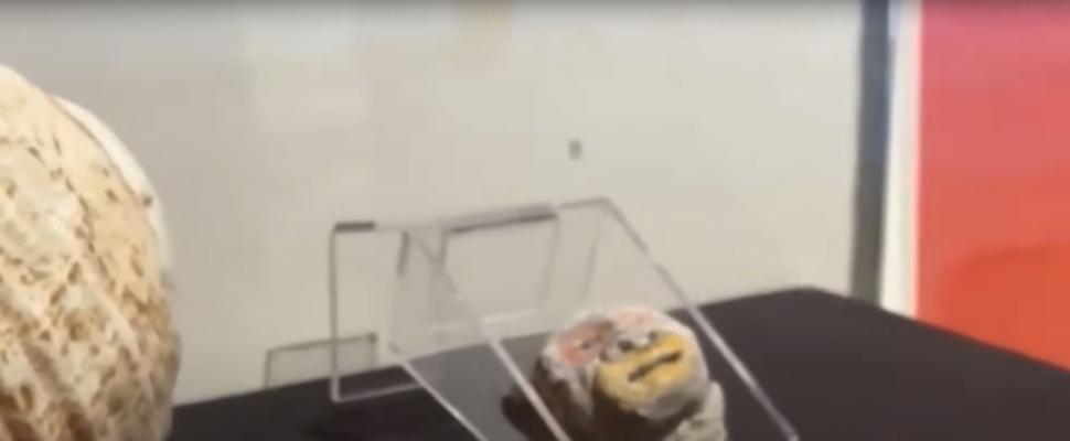 Vechi de 3.800 de ani, oraşul descoperit recent într-un deşert din Peru rescrie istoria Americilor 1006815