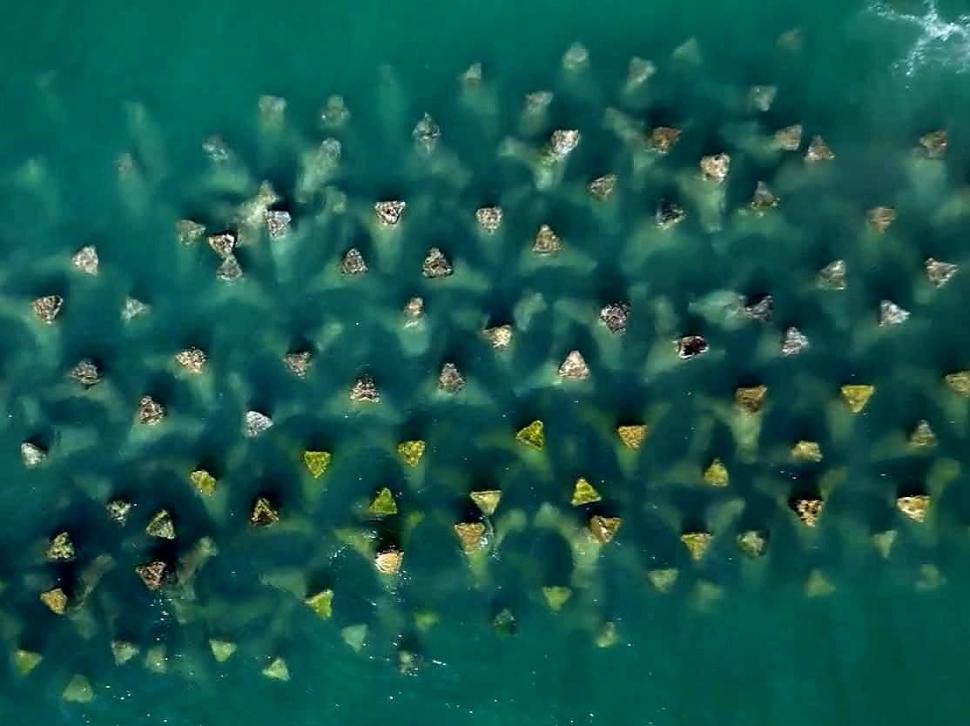 „România scrie istorie în Marea Neagră”, cu pajişti submarine de iarbă şi recife artificiale. Cum arată „plămânii verzi-albaștri” 1007890