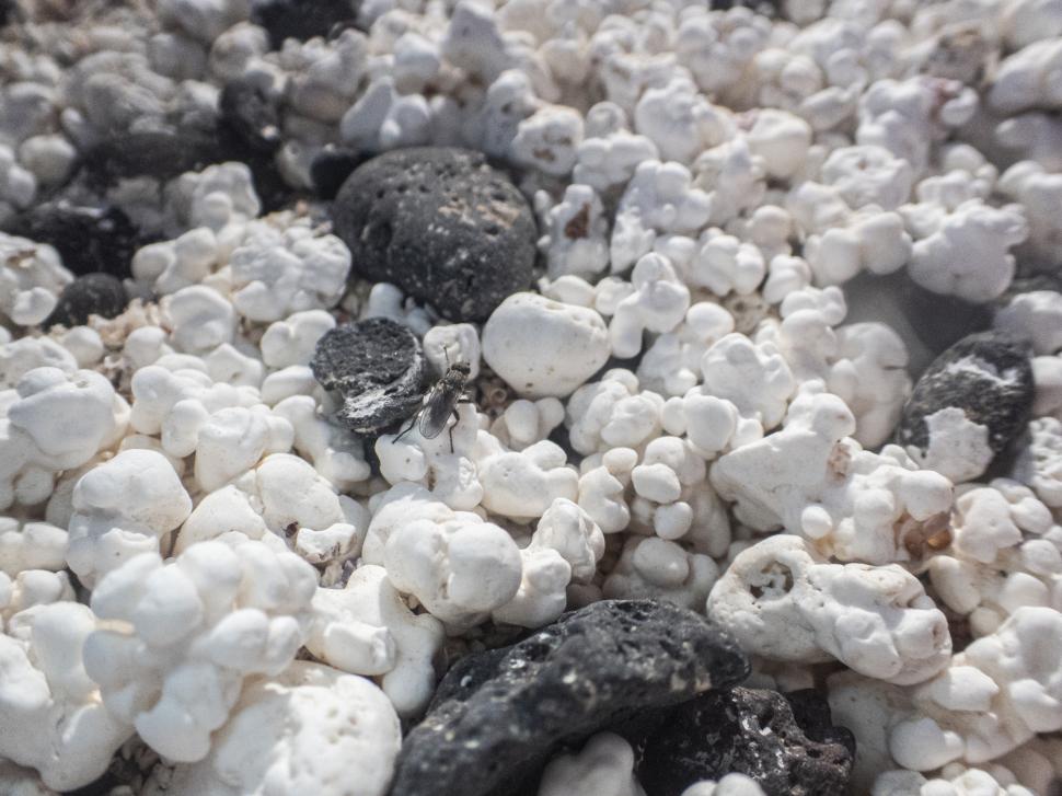 Pe ”Plaja Popcorn” nu stai pe șezlong și nu mergi să faci baie. Dincolo de imaginile ireale, există o explicație pentru nisipul bizar 1008385