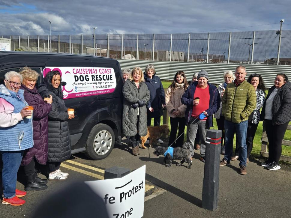 Bailey, câinele închis „pe viață” într-un penitenciar din Irlanda de Nord, a fost eliberat: „A fost un episod rușinos” 1009199