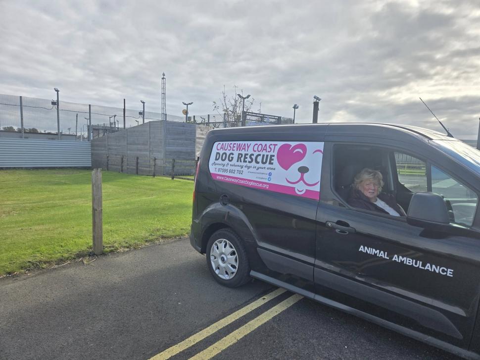 Bailey, câinele închis „pe viață” într-un penitenciar din Irlanda de Nord, a fost eliberat: „A fost un episod rușinos” 1009201