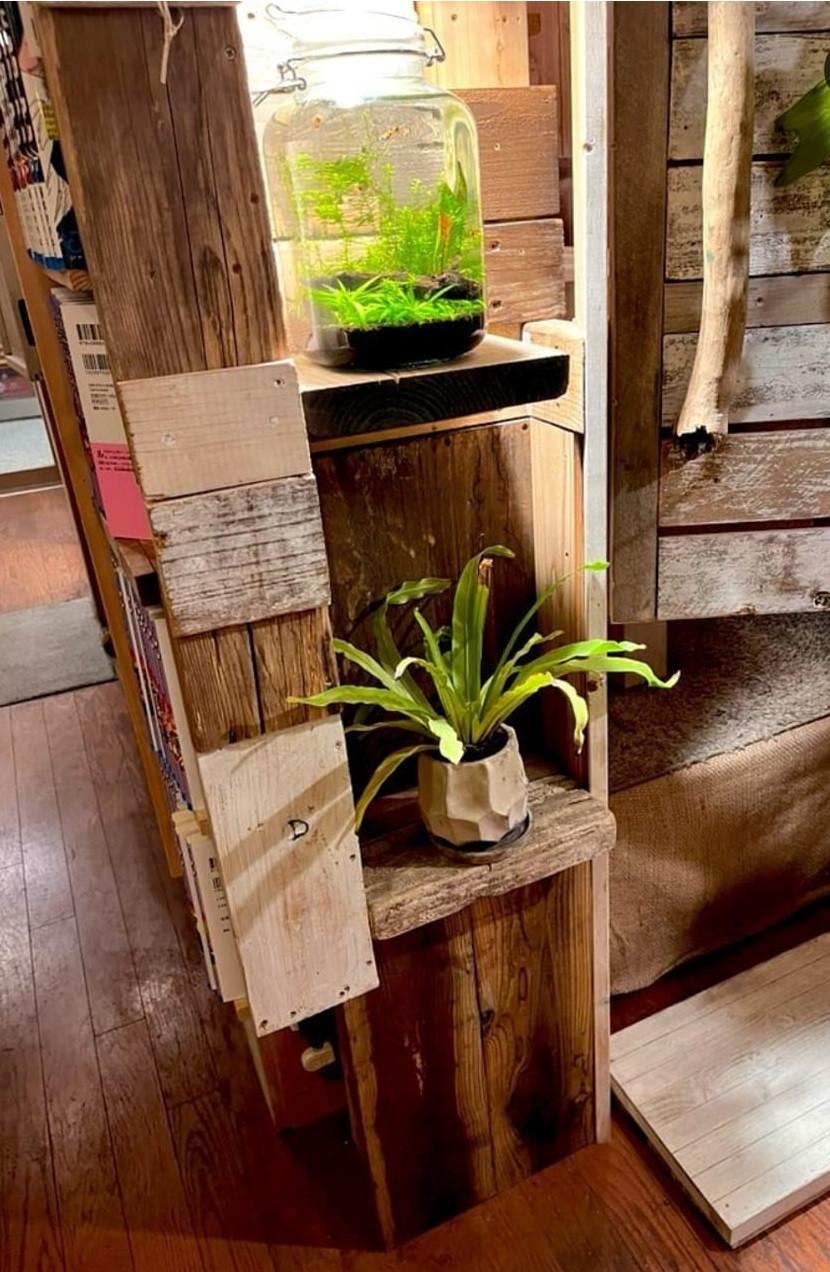 Nou trend în Japonia: Cafenele în care poţi să plângi. Care sunt serviciile oferite clienţilor 1009052