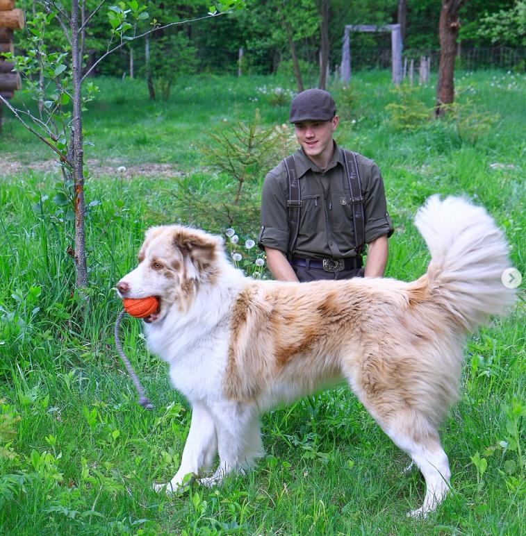 Un tânăr de 23 de ani și-a construit singur o casă cu 3.000 de euro și ce a găsit prin pădure 1009788