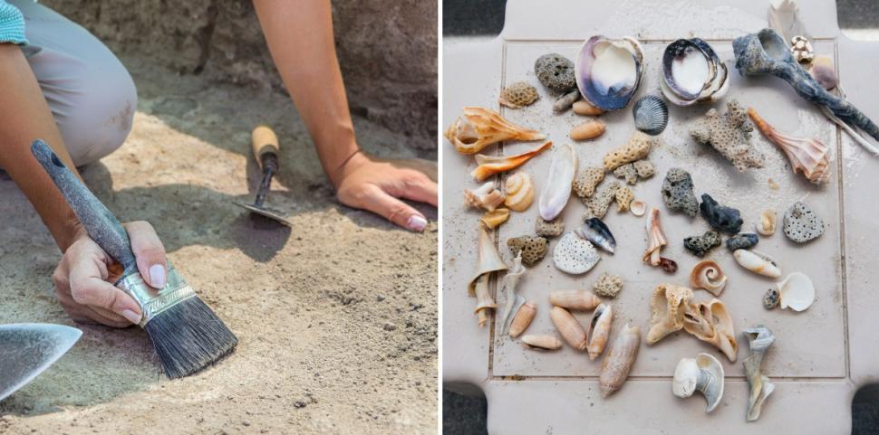  Cel mai vechi atelier de bijuterii din scoici din Europa a fost descoperit abia acum şi a funcţionat în urmă cu 42.000 de ani 1010012