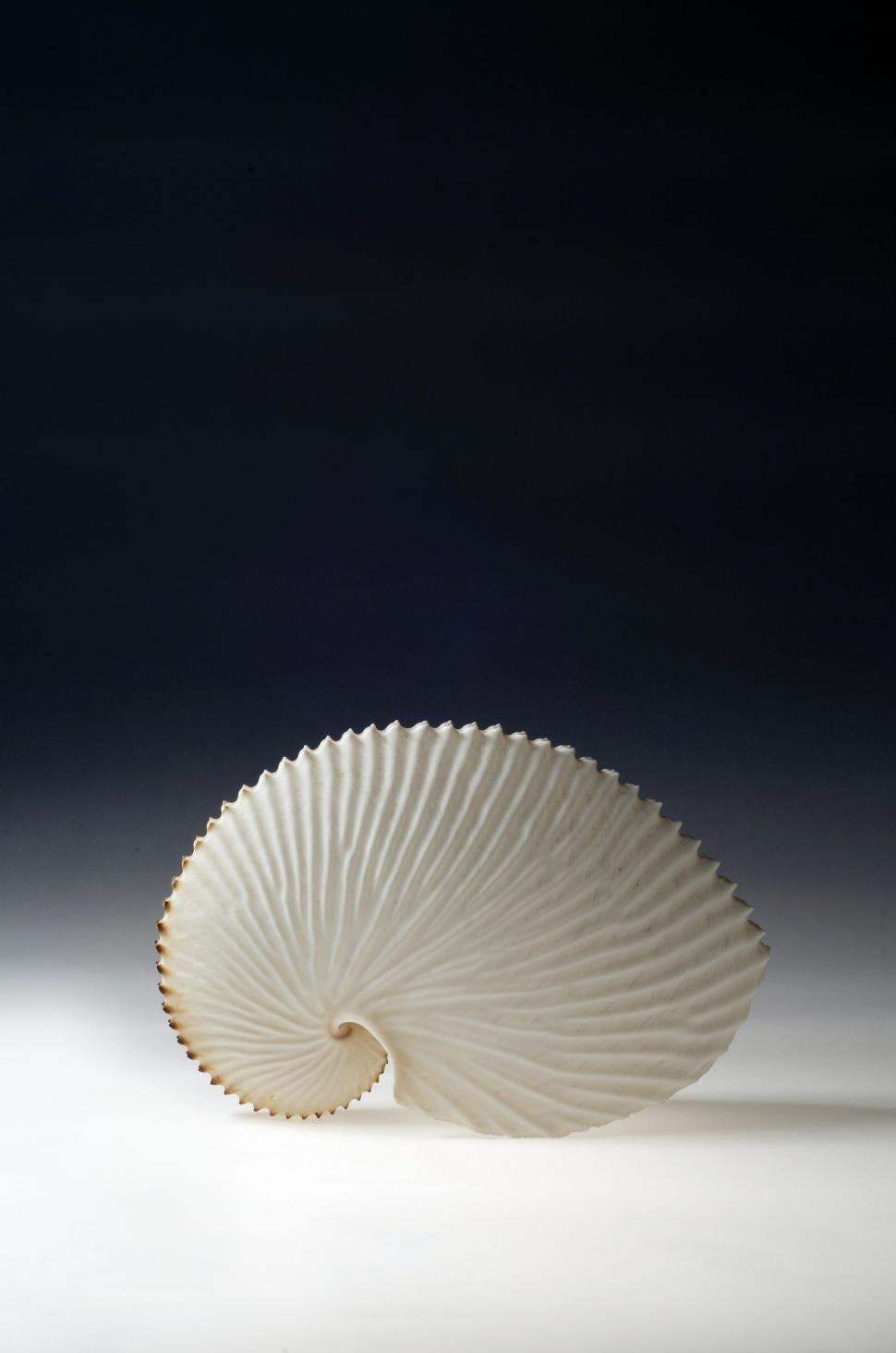  Cel mai vechi atelier de bijuterii din scoici din Europa a fost descoperit abia acum şi a funcţionat în urmă cu 42.000 de ani 1010017