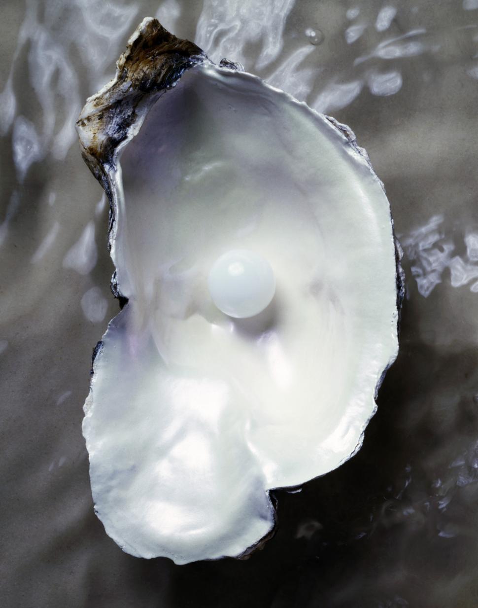  Cel mai vechi atelier de bijuterii din scoici din Europa a fost descoperit abia acum şi a funcţionat în urmă cu 42.000 de ani 1010021