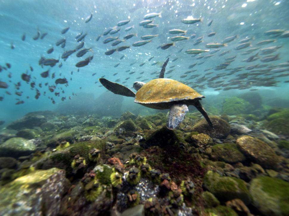 Top 10 cele mai frumoase locuri din lume aflate în Patrimoniul Mondial UNESCO și cât de aproape sunt de România 1009687