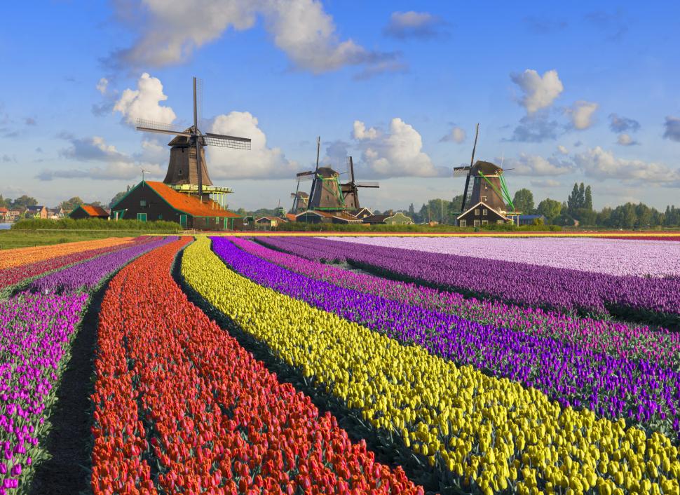 Pitorescul sat olandez renumit pentru morile de vânt ia o decizie în premieră. Cei 100 de locuitori s-au enervat: ”Nu mai e intimitate” 1010690