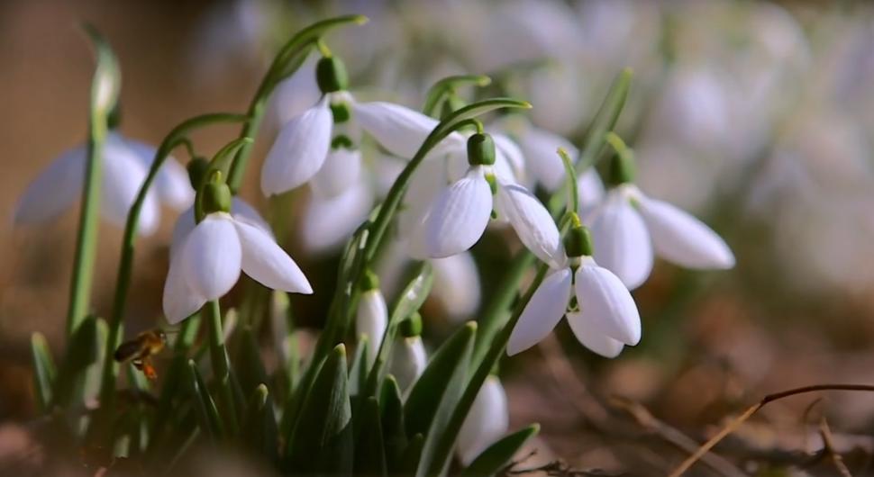 Prima regiune din România inclusă în platforma Google Arts&Culture. Colecţia prezintă fotografii spectaculoase din Ținutul Buzăului 1010763
