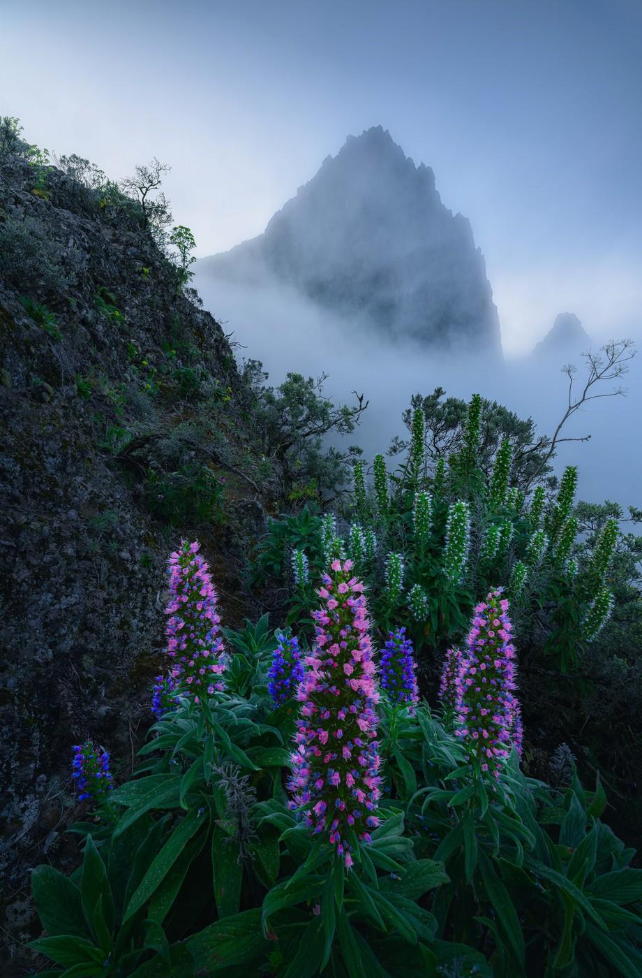Cele mai frumoase fotografii cu peisaje din 2025. Cine a câștigat marele premiu și cele mai spectaculoase imagini 1011493
