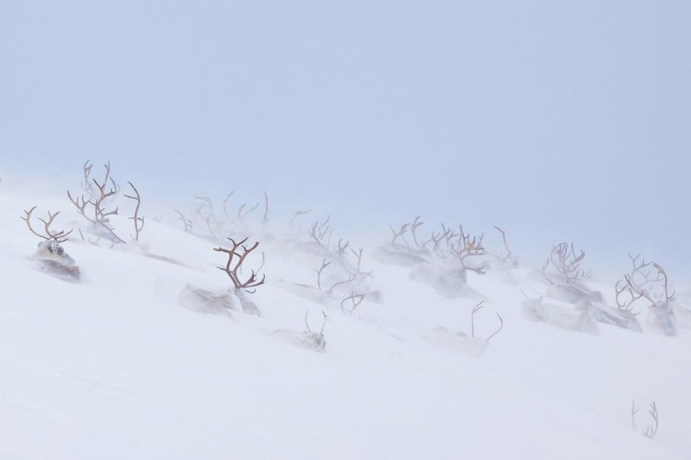 Cele mai frumoase fotografii cu peisaje din 2025. Cine a câștigat marele premiu și cele mai spectaculoase imagini 1011500