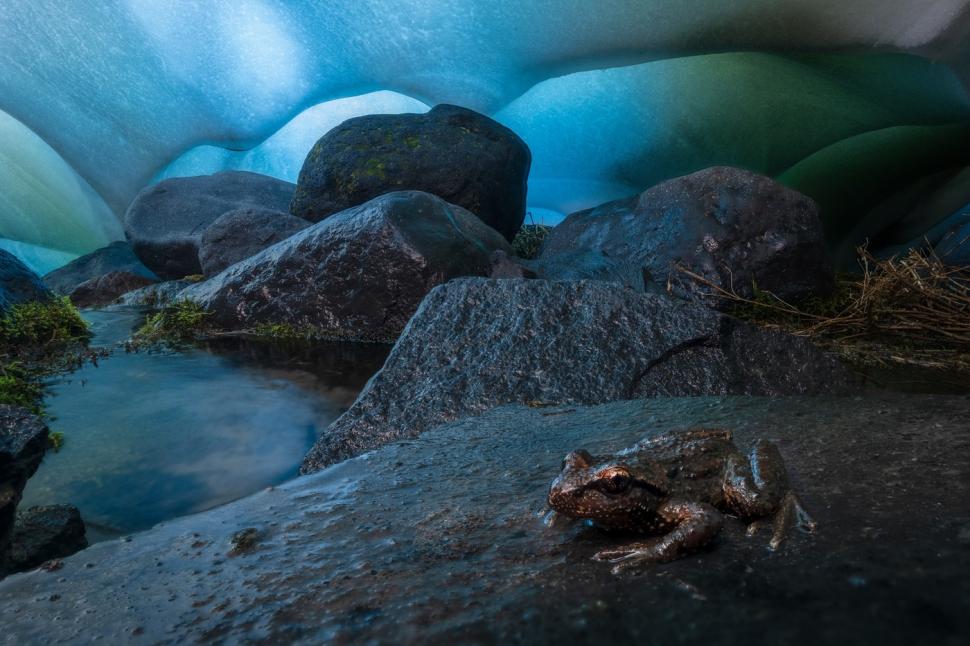 Cele mai frumoase fotografii cu peisaje din 2025. Cine a câștigat marele premiu și cele mai spectaculoase imagini 1011502
