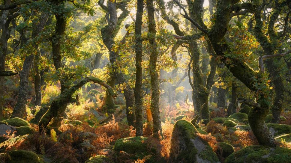 Cele mai frumoase fotografii cu peisaje din 2025. Cine a câștigat marele premiu și cele mai spectaculoase imagini 1011503