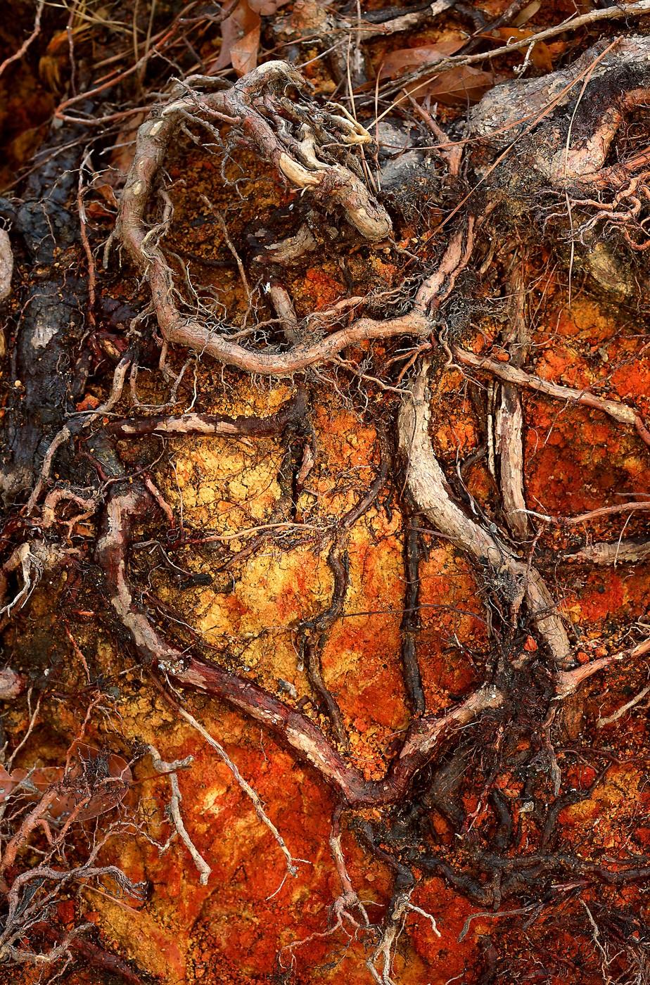 Cele mai frumoase fotografii cu peisaje din 2025. Cine a câștigat marele premiu și cele mai spectaculoase imagini 1011510