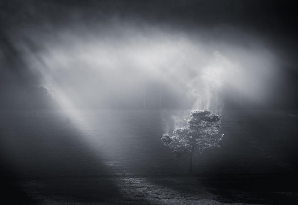 Cele mai frumoase fotografii cu peisaje din 2025. Cine a câștigat marele premiu și cele mai spectaculoase imagini 1011513