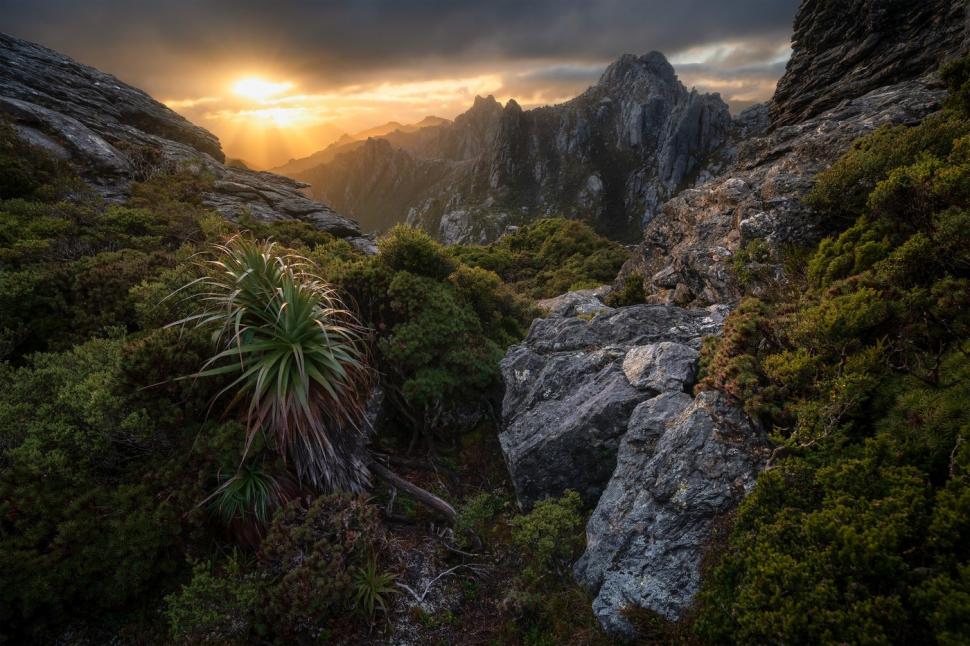 Cele mai frumoase fotografii cu peisaje din 2025. Cine a câștigat marele premiu și cele mai spectaculoase imagini 1011516