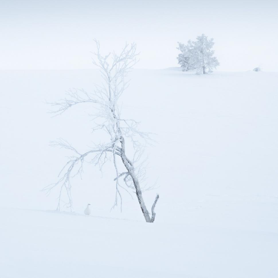 Cele mai frumoase fotografii cu peisaje din 2025. Cine a câștigat marele premiu și cele mai spectaculoase imagini 1011517