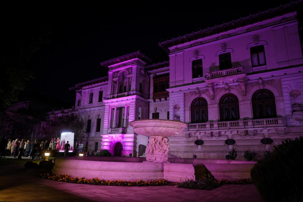 Mirabela Grădinaru, partenera președintelui Nicușor Dan, a participat la aprinderea luminilor roz la Palatul Cotroceni 1011586