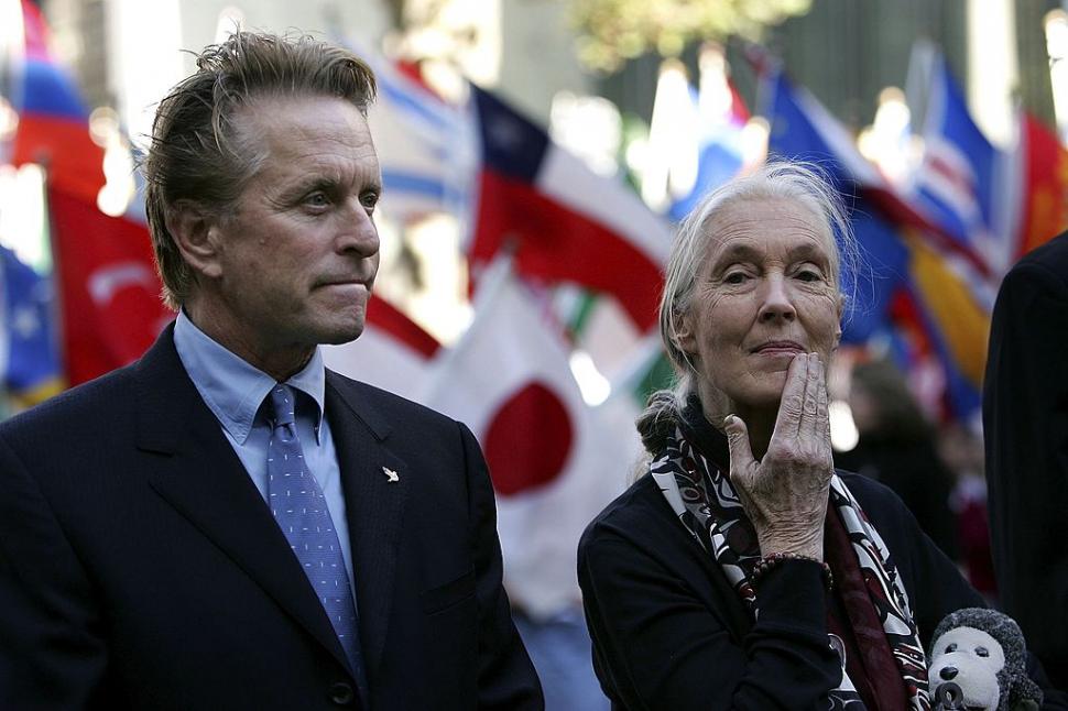 A murit Jane Goodall, cercetătoarea care a schimbat pentru totdeauna felul în care înțelegem animalele 1011609