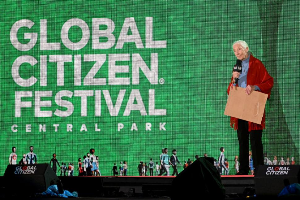 A murit Jane Goodall, cercetătoarea care a schimbat pentru totdeauna felul în care înțelegem animalele 1011612