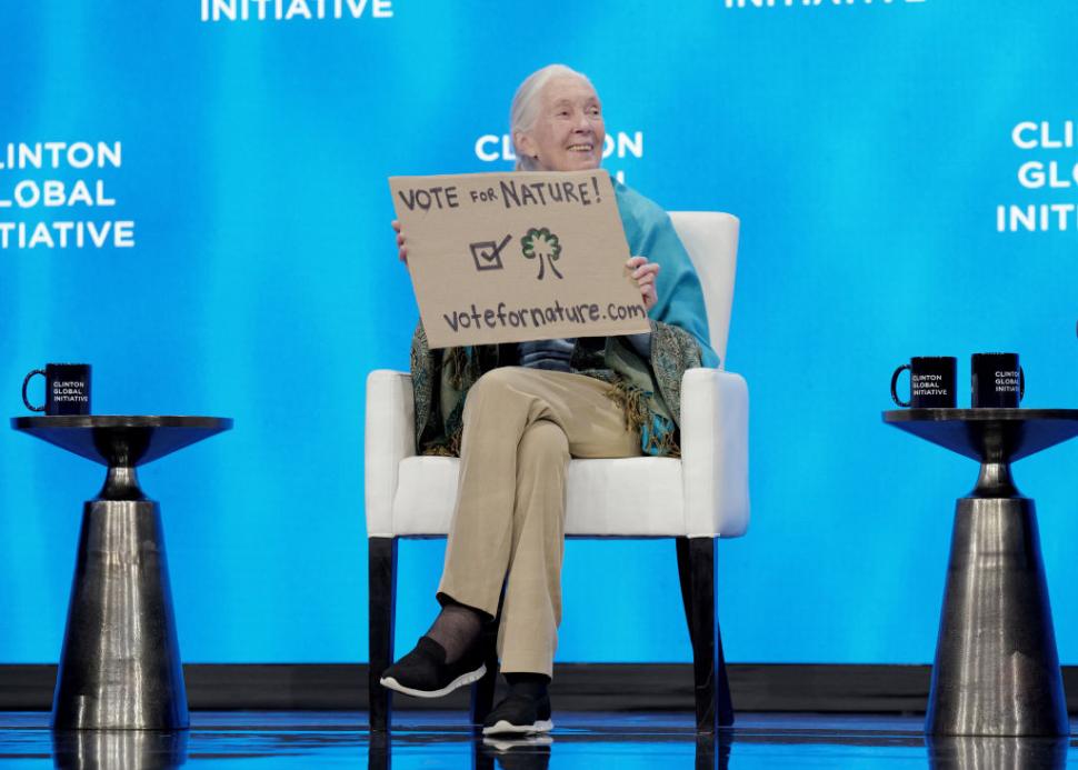 A murit Jane Goodall, cercetătoarea care a schimbat pentru totdeauna felul în care înțelegem animalele 1011613