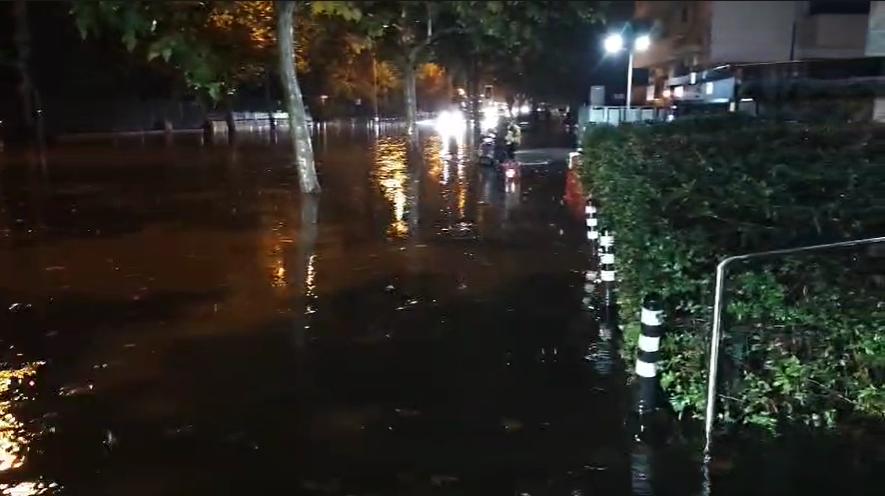 Haos în București: tramvaie și troleibuze blocate, copaci prăbușiți și trafic aerian afectat de furtuna de vineri seară 1012180