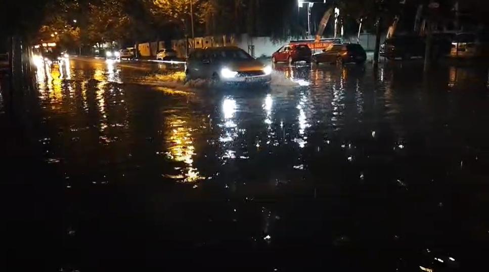 Haos în București: tramvaie și troleibuze blocate, copaci prăbușiți și trafic aerian afectat de furtuna de vineri seară 1012184