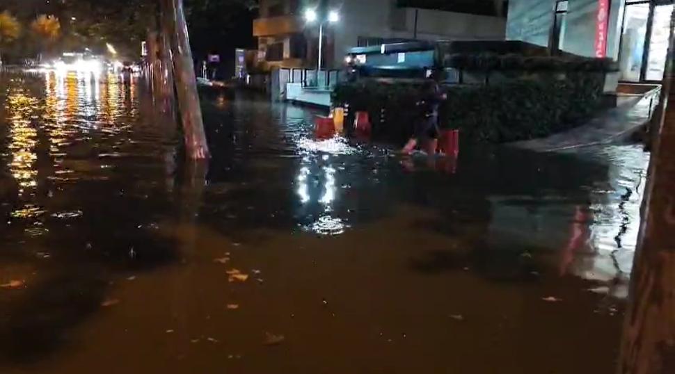 Haos în București: tramvaie și troleibuze blocate, copaci prăbușiți și trafic aerian afectat de furtuna de vineri seară 1012185