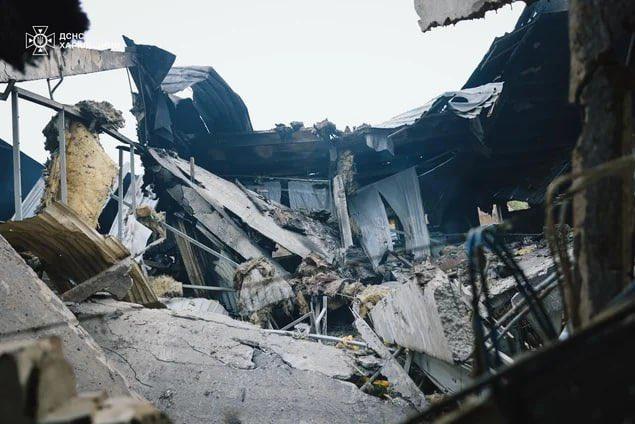 Rușii au ucis 13 mii de animale în Ucraina, într-un atac cu dronă asupra unei ferme de porci 1012156