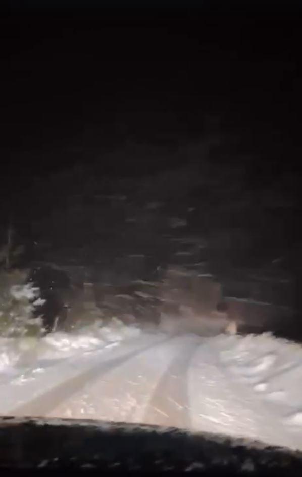 Blackout în stațiuni montane, mașini blocate și turiști salvați din zăpadă de jumătate de metru. Ninsoarea face prăpăd la munte 1012243