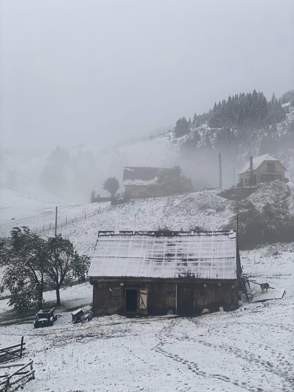 Mărturiile virale ale lui Charlie Ottley, după blackout-ul din staţiunile montane: Nu e curent de 3 zile. Am sunat din nou 1012280